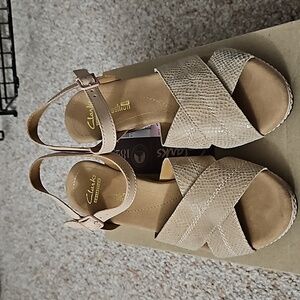 Clarks Wedge